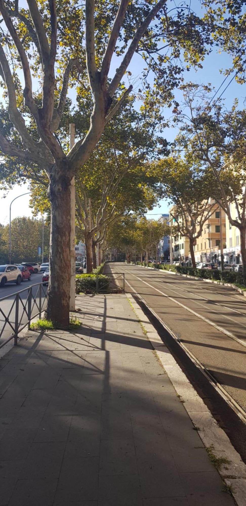 Trastevere Residenze Rom Exteriör bild